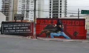 Mural Sem Rodeios de Eduardo Kobra de 2011